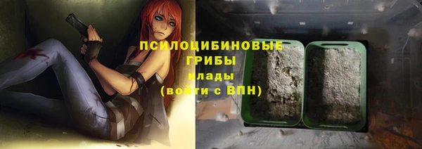 шишки Ростов